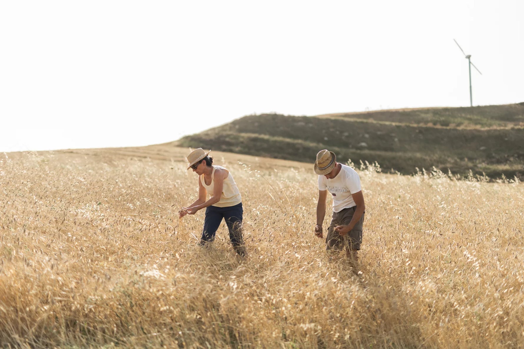 Boniviri Miceli Rosaria