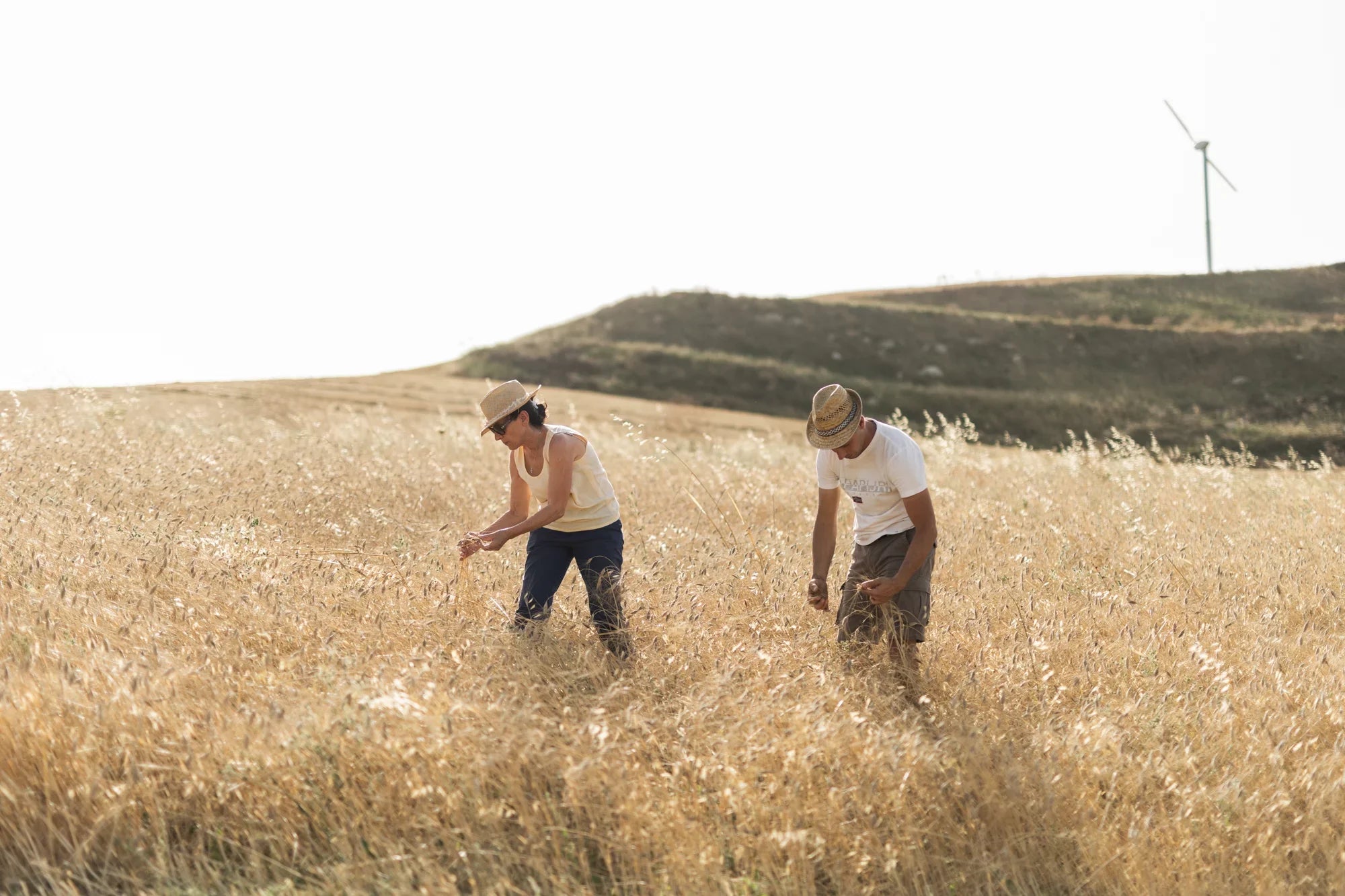 Boniviri Miceli Rosaria