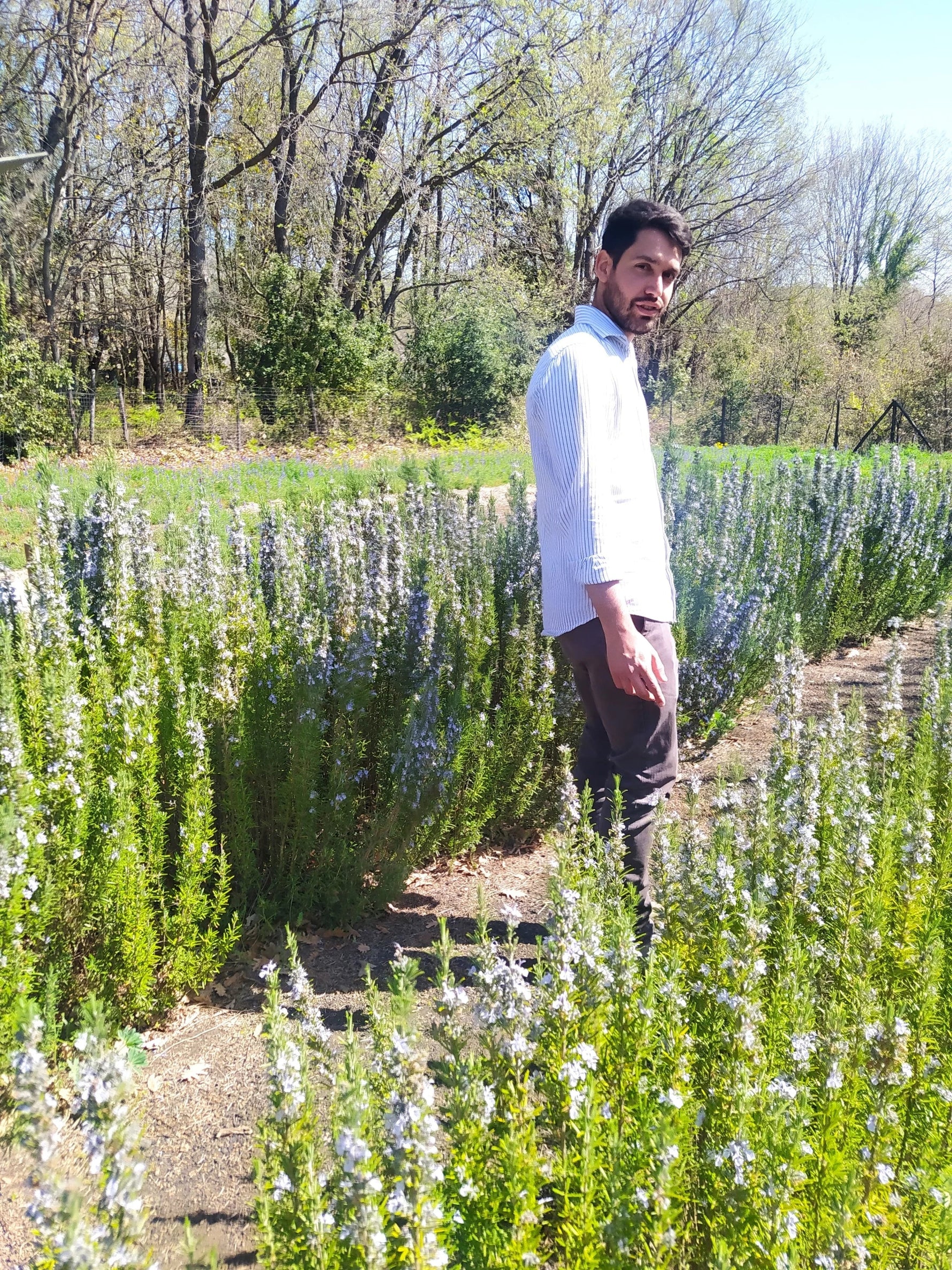 Agricoltori Boniviri Etna