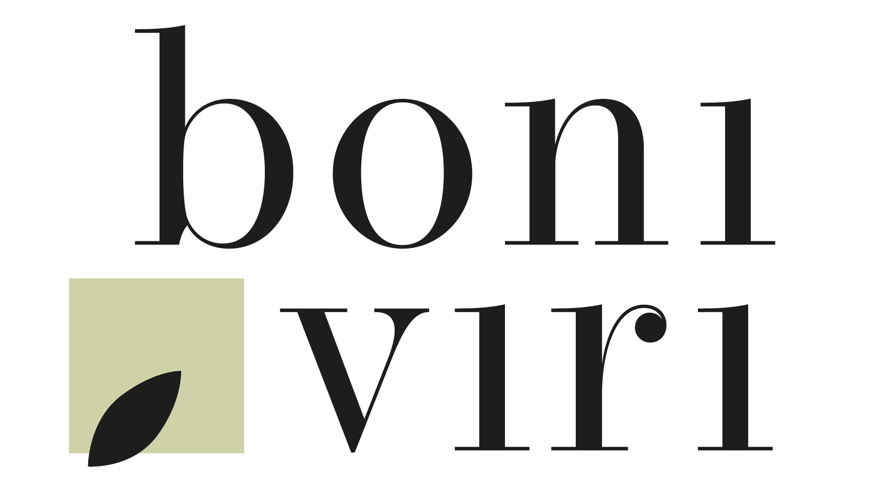 Boniviri Impact report