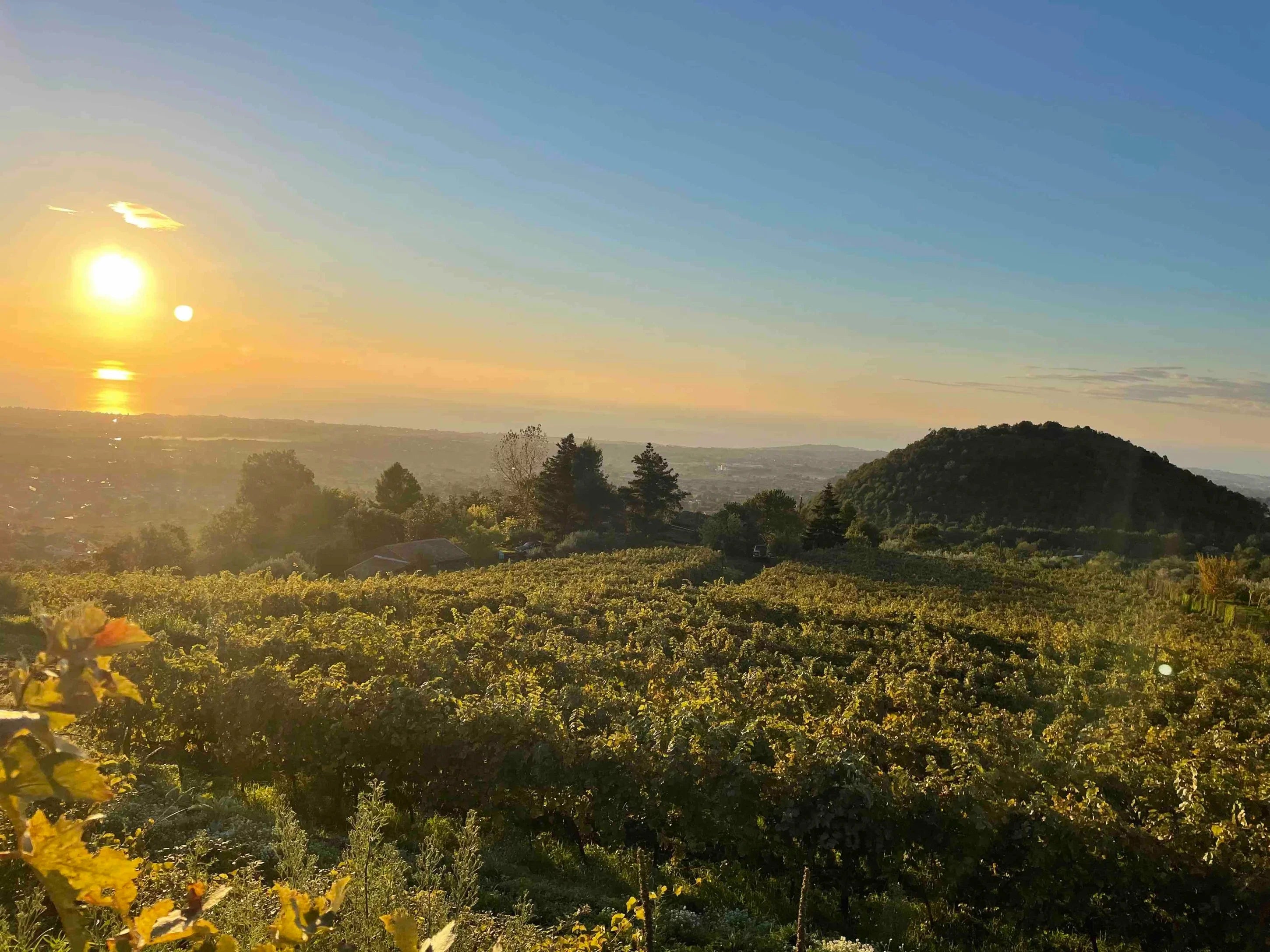 Boniviri Monte Gorna