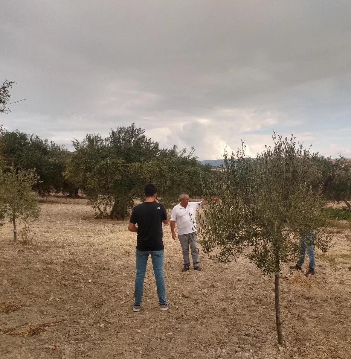 Vale la pena continuare? Le sfide delle piccole imprese agricole