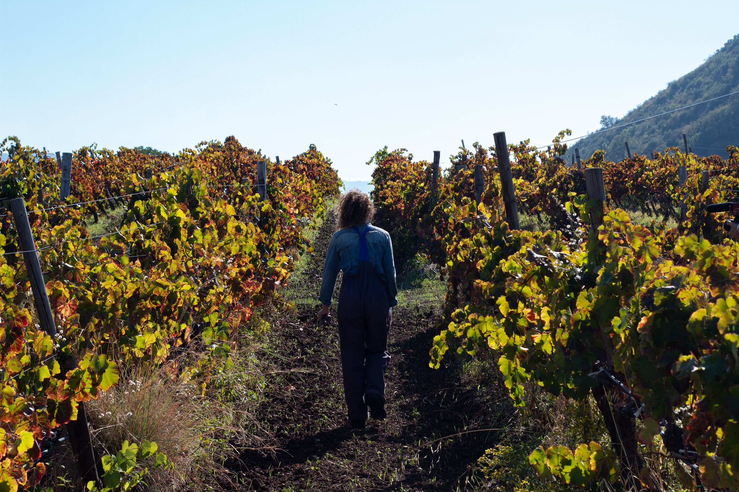 Box Wine Lovers - Degustazione Vino Siciliano