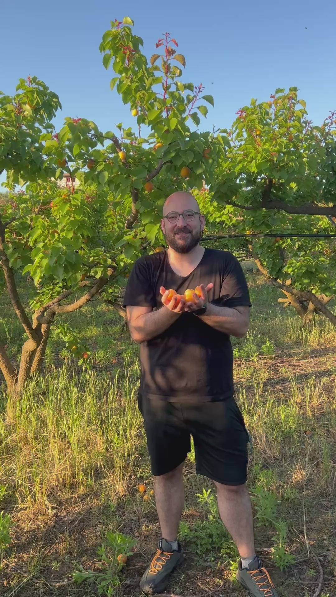 Confettura extra biologica di albicocca varietà Tyrinthos