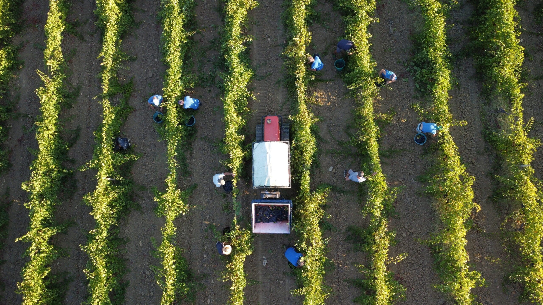 Il Glossario della Sostenibilità