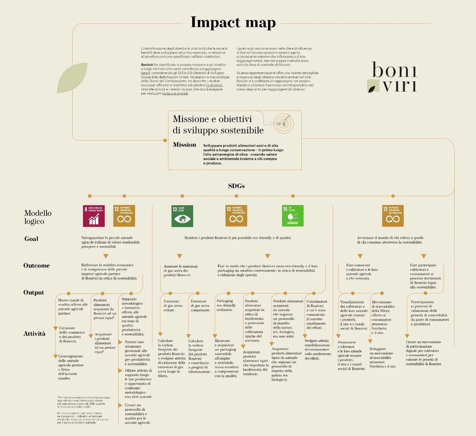 Boniviri Impact Map