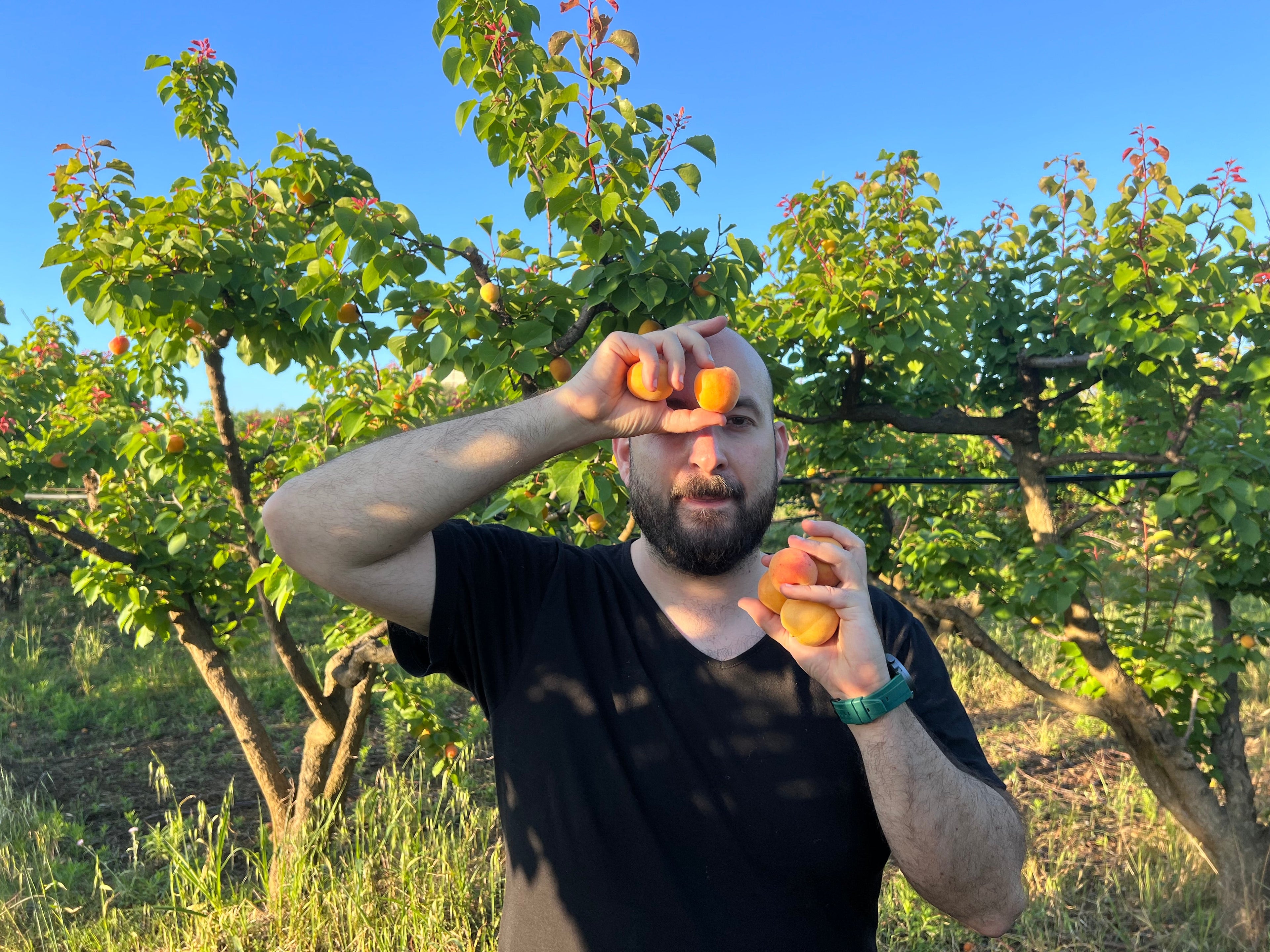 Creme spalmabili e confetture