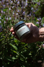 Salvia dell'Etna