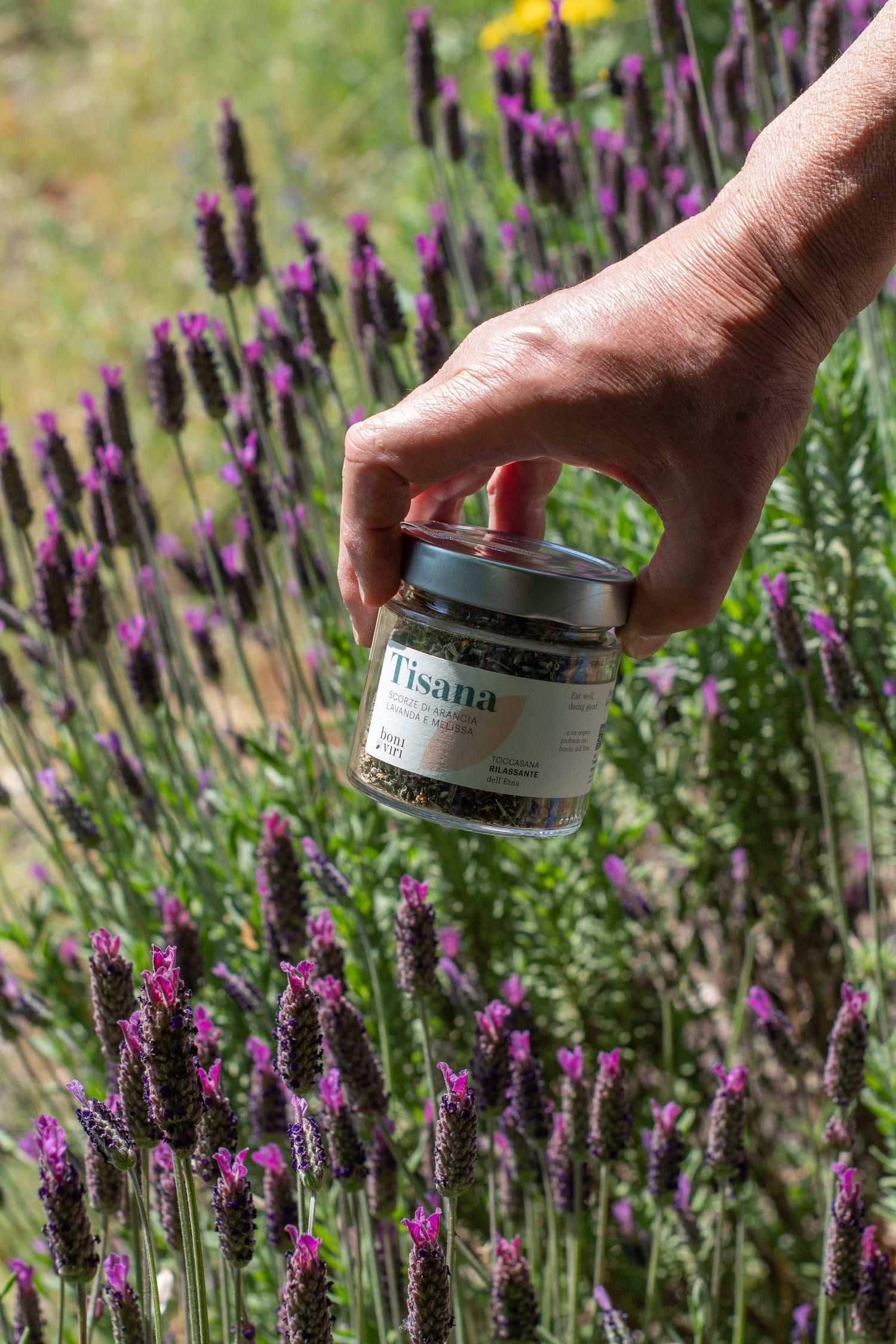 Collezione Tisane dell'Etna con infusore