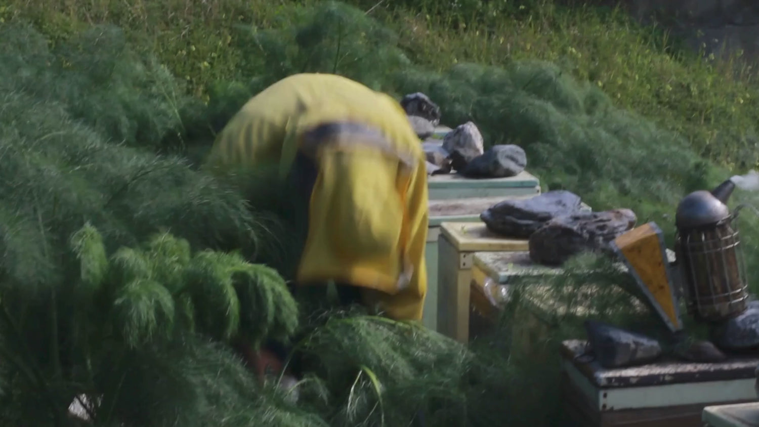 Tris di Miele Bio Siciliano - Bestseller